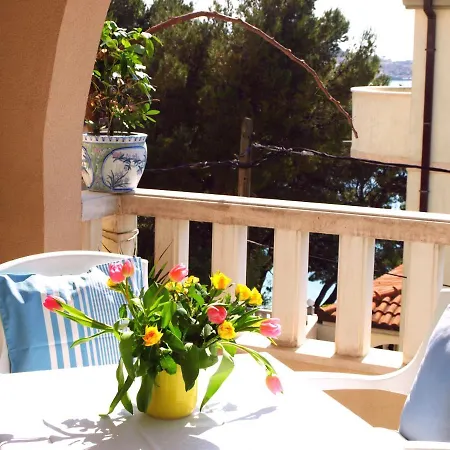 Dani Zelja アパート マカルスカ