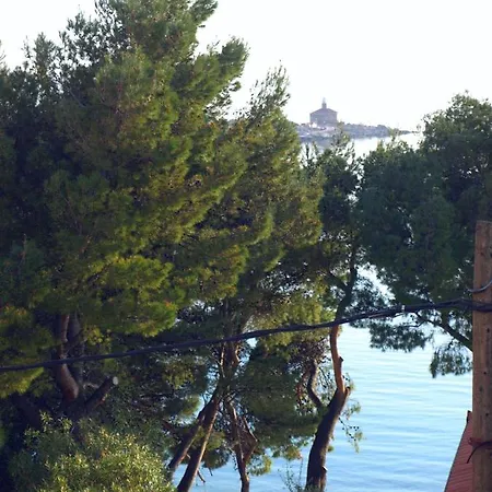 Dani Zelja Lejlighed